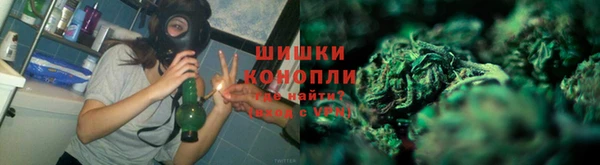 мдпв Лагань