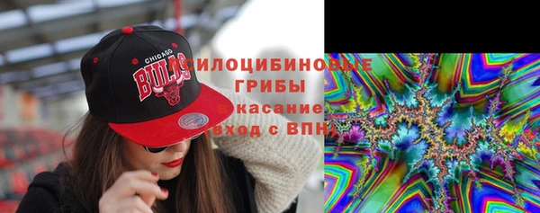 ешки Кукмор