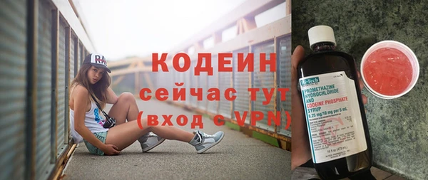 мдпв Лагань