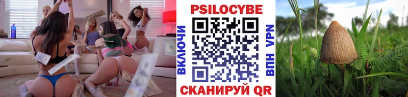 Галлюциногенные грибы Magic Shrooms  хочу наркоту  Сусуман 